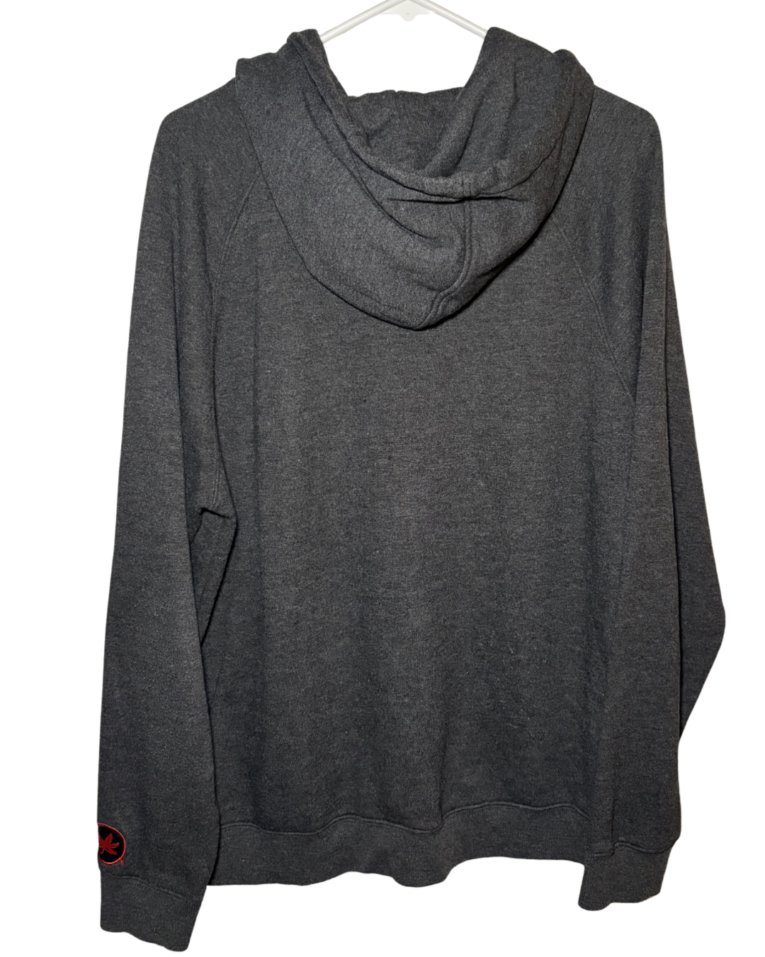 Ohio State Hoodie- L
